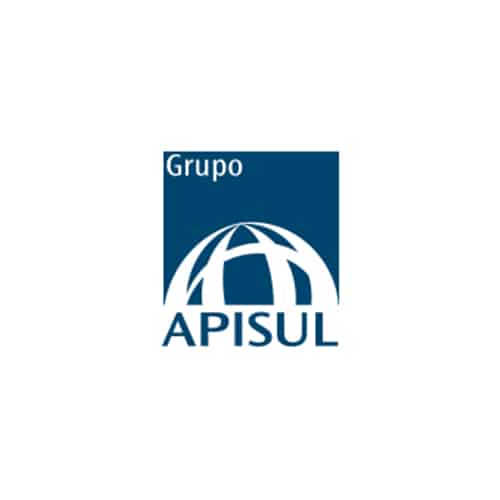 GRUPO APISUL – GERENCIADORA DE RISCO